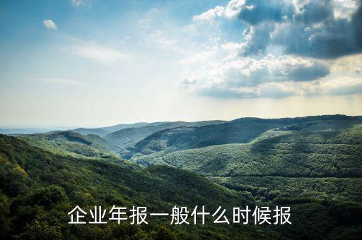 財務年報什么時候申報，企業(yè)財務會計報告什么時間出具