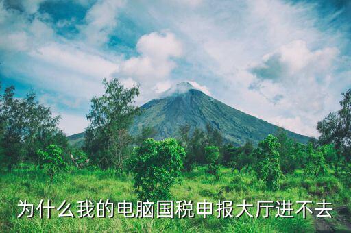 陜西國家稅務局為什么上不去，為什么我的電腦國稅申報大廳進不去