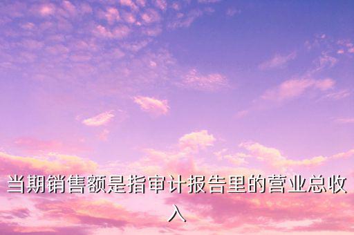 當期銷售額是指審計報告里的營業(yè)總收入
