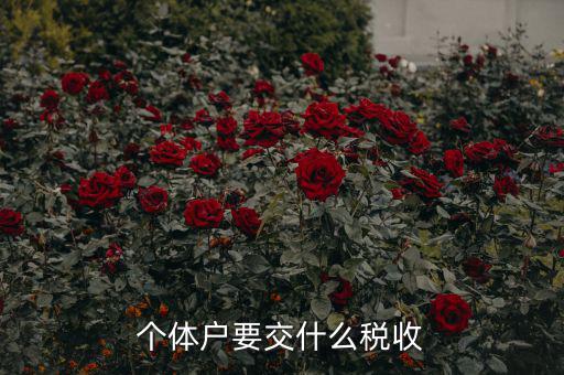 新開個體戶要交什么稅，我想開個小店當個體戶請問要交什么稅