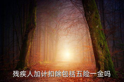 殘疾人加計(jì)扣除是什么意思，福利企業(yè)殘疾職工工資百分百加計(jì)扣除是怎么回事