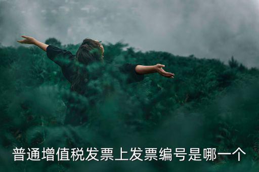 增值稅編號是什么，普通增值稅發(fā)票上發(fā)票編號是哪一個