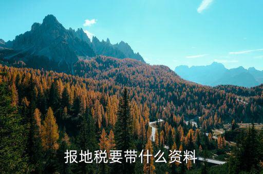 地稅都申報什么材料，申報地稅要什么資料