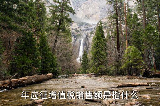 年度應(yīng)征額是什么意思，年應(yīng)征增值稅銷售額是指什么