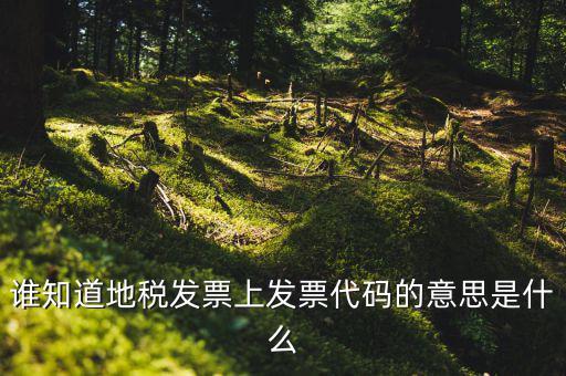 河北地稅發(fā)票的查詢碼是什么意思，如何查詢地稅發(fā)票開票點(diǎn)注冊碼是什么