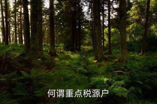 為什么要填重點(diǎn)稅源啊，重點(diǎn)稅源的介紹