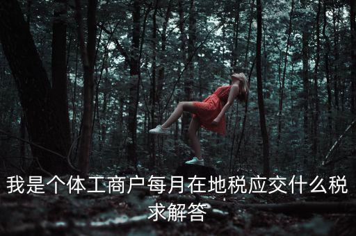 個體戶地稅局交什么稅，個體經營戶地稅是按什么標準收費的