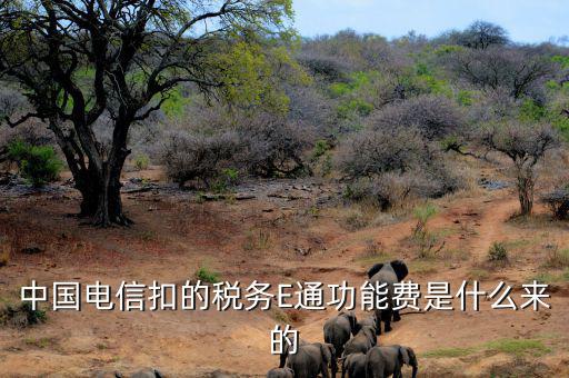 中國(guó)電信扣的稅務(wù)E通功能費(fèi)是什么來的