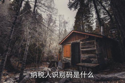 稅務(wù)識(shí)別碼有什么用，納稅人識(shí)別碼是什么