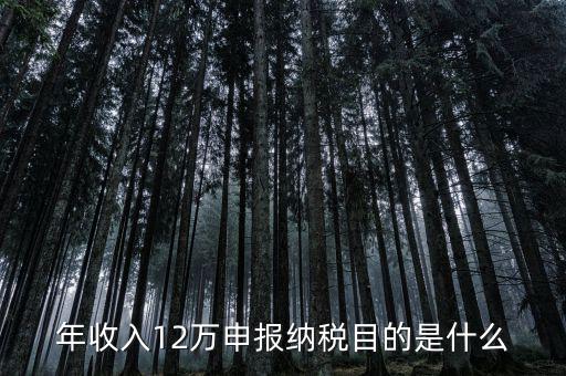 為什么12萬要報(bào)稅，年收入12萬個(gè)稅申報(bào)為什么要申報(bào)