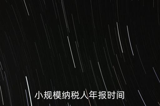 納稅申報(bào)年報(bào)什么時(shí)候，小規(guī)模納稅人年報(bào)時(shí)間