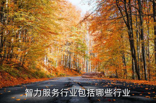 涉稅專業(yè)服務(wù)機構(gòu)包括什么，智力服務(wù)行業(yè)包括哪些行業(yè)