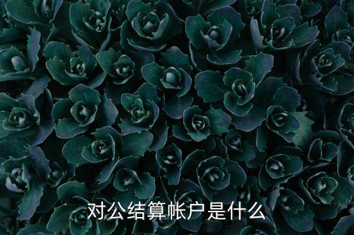 什么是稅務(wù)待結(jié)算賬戶，結(jié)算賬戶有哪些