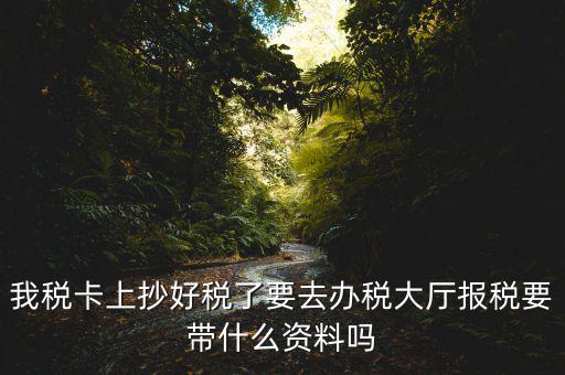 報(bào)稅廳抄報(bào)需要帶什么資料，抄稅需要帶些什么資料