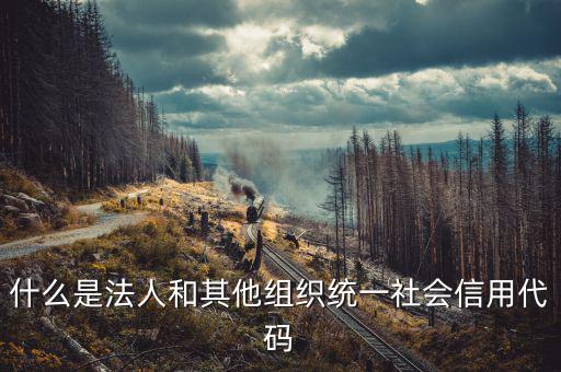 統(tǒng)一社會(huì)信用碼是什么意思，深圳碼統(tǒng)一社會(huì)信用代碼是什么