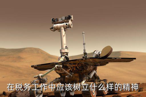 什么是地稅精神，在稅務(wù)工作中應(yīng)該樹(shù)立什么樣的精神