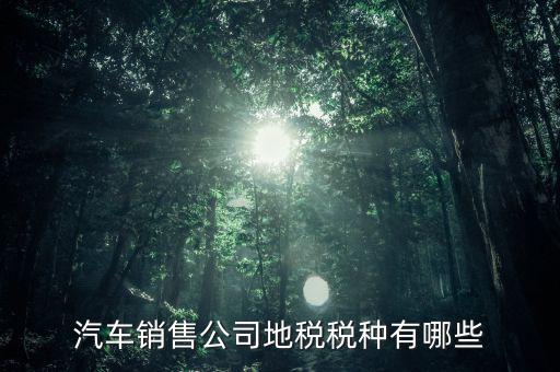 銷售汽車繳納什么稅，一般納稅人公司銷售使用過的汽車要交哪些稅