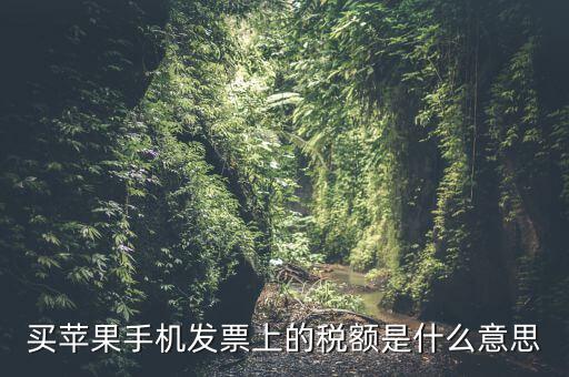 發(fā)票上的稅額是什么意思，買蘋果手機發(fā)票上的稅額是什么意思