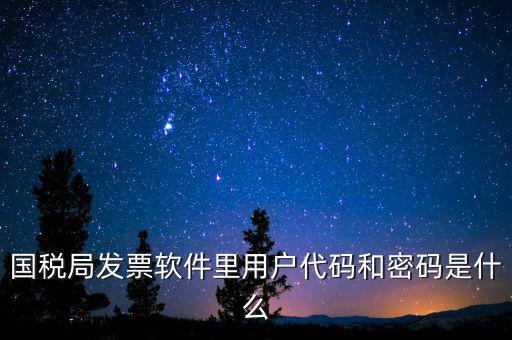 登錄稅務開票密碼是什么，國稅第一次網上申報的登陸密碼是什么