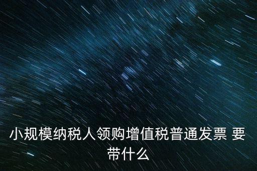 小規(guī)模納稅人領(lǐng)購(gòu)增值稅普通發(fā)票 要帶什么
