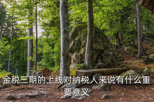 金三稅系統(tǒng)什么時間上線的，2016年金稅三期上線那金稅三期到底是啥呢