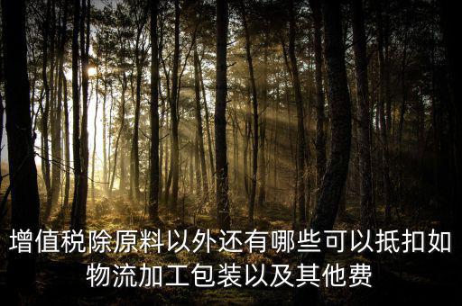 什么費用可以抵扣增值稅，增值稅抵扣哪些費用可抵扣呢營業(yè)稅小規(guī)模和一般納稅人建安業(yè)都是