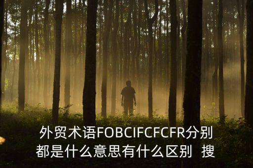 什么是被指定國別報告，什么是SGS