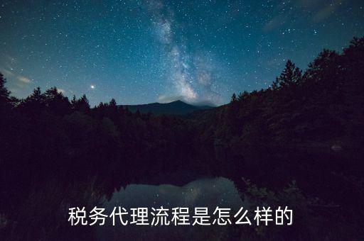 稅務(wù)代理人需要什么，代理到稅務(wù)機(jī)關(guān)開票需要哪些證件