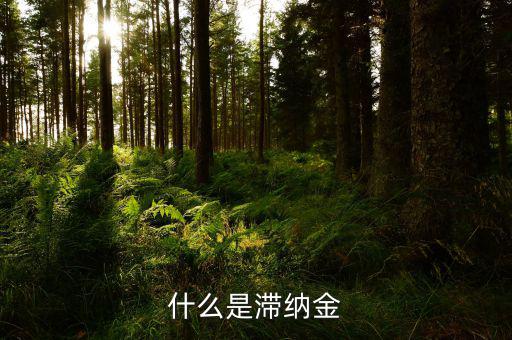 稅務(wù)局的滯納金是什么，個人所得稅滯納金是什么阿我交稅得單子上有