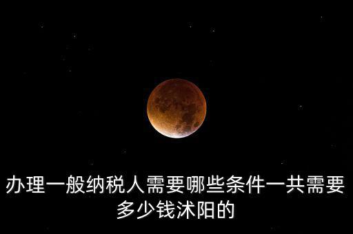 納稅人需求是什么，申請一般納稅人有什么要求嗎需滿足哪些條件華廈投資可以代為申