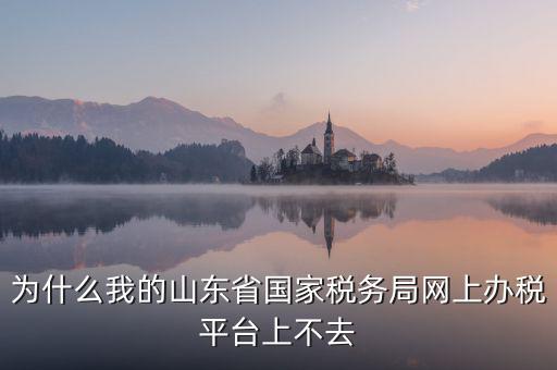 為什么登陸不了網(wǎng)上辦稅廳，為什么我的山東省國家稅務(wù)局網(wǎng)上辦稅平臺上不去