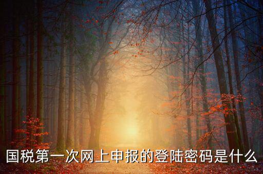 國稅申報(bào)登陸密碼是什么，國稅第一次網(wǎng)上申報(bào)的登陸密碼是什么