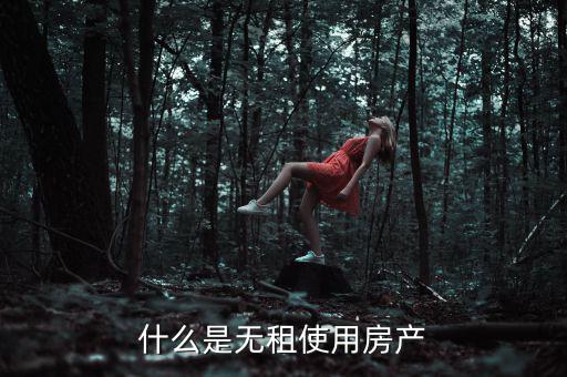 什么是無租使用房產(chǎn)，請問在經(jīng)濟(jì)法里無租使用房產(chǎn)是什么意思
