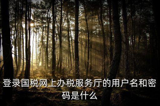 國稅網(wǎng)上登錄密碼是什么意思，國稅第一次網(wǎng)上申報(bào)的登陸密碼是什么