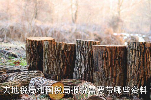 地稅局交稅需要什么，去地稅局繳納營業(yè)稅金及附加需要帶什么資料