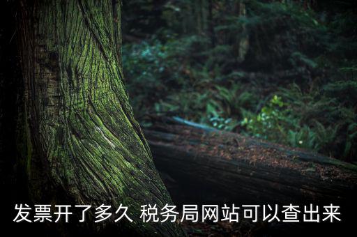 稅局一般什么時(shí)候查發(fā)票，增值稅發(fā)票開多久能在國(guó)家稅務(wù)局查到