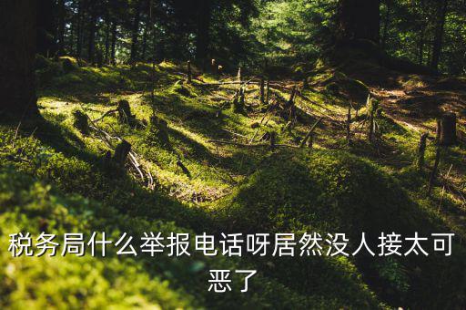 什么叫稅務舉報，稅務局什么舉報電話呀居然沒人接太可惡了