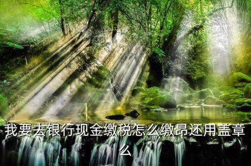納稅戶銀行交稅除了蓋章還要什么，打印出表來后銀行會直接扣稅么然后還要帶著打出來的表去稅務(wù)