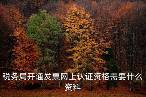 稅務局開通發(fā)票網(wǎng)上認證資格需要什么資料