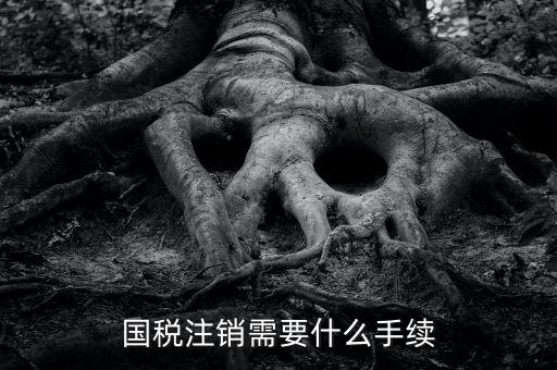國稅局注銷要什么手續(xù)，國稅注銷需要什么手續(xù)