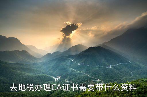 地稅ca帶什么，去地稅簽三方協(xié)議需要以下東西第四個(gè)CA是什么意思啊