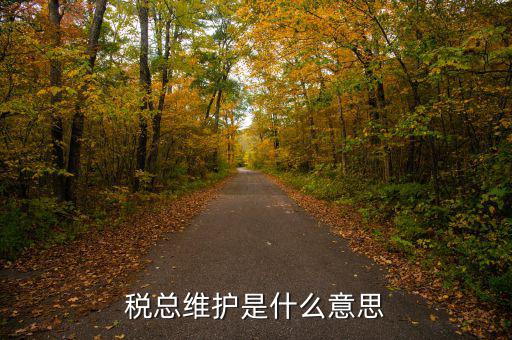 涉稅軟件維護(hù)費是什么東東，稅總維護(hù)是什么意思