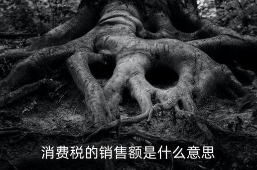 納稅人銷售額指什么意思，消費稅的銷售額是什么意思