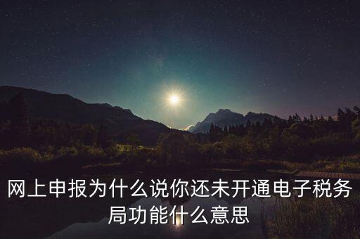 電子稅務(wù)局是干什么，企業(yè)金稅盤系統(tǒng)用來(lái)開(kāi)票抄稅報(bào)稅用那登錄國(guó)稅地稅局網(wǎng)站是干嘛的