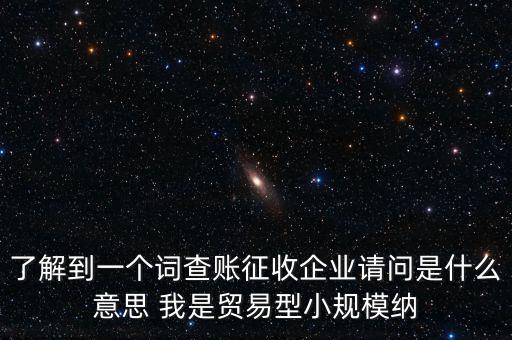 了解到一個詞查賬征收企業(yè)請問是什么意思 我是貿易型小規(guī)模納