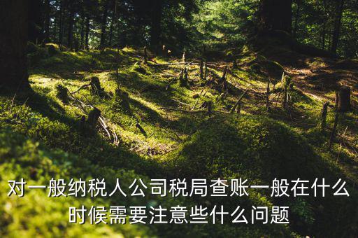 一般地稅稽查會在什么時候，稅務(wù)局什么時候會查賬不申報有哪些后果