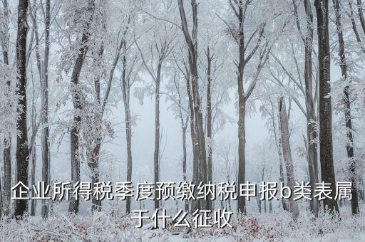 所得稅b類按什么征收，企業(yè)所得稅季度預(yù)繳納稅申報(bào)b類表屬于什么征收