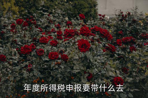 納稅申報應帶什么東西，你好 到稅務局報稅需要帶什么東西怎么報