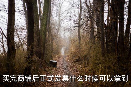 買完商鋪后正式發(fā)票什么時(shí)候可以拿到