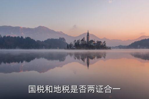 國稅的兩證合一是什么意思，國稅和地稅是否兩證合一